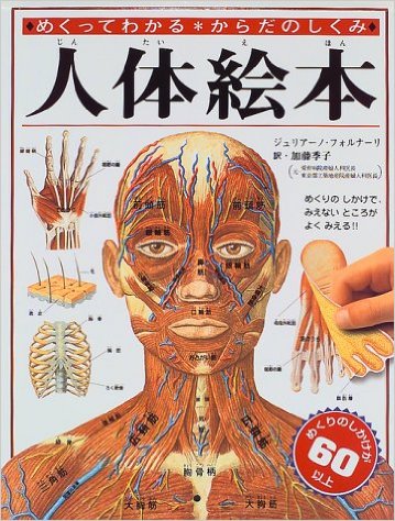 人体絵本―めくってわかる からだのしくみ